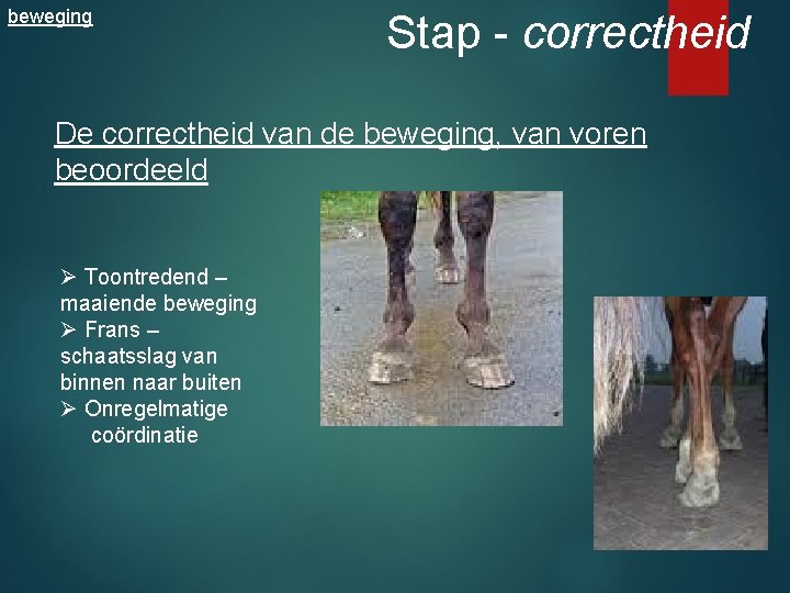 beweging Stap - correctheid De correctheid van de beweging, van voren beoordeeld Ø Toontredend