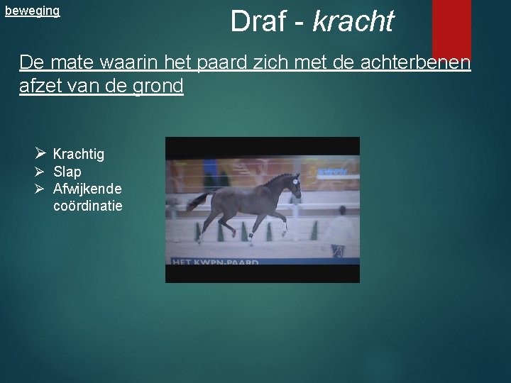 beweging Draf - kracht De mate waarin het paard zich met de achterbenen afzet