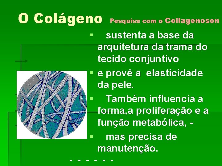 O Colágeno § § Pesquisa com o Collagenoson sustenta a base da arquitetura da