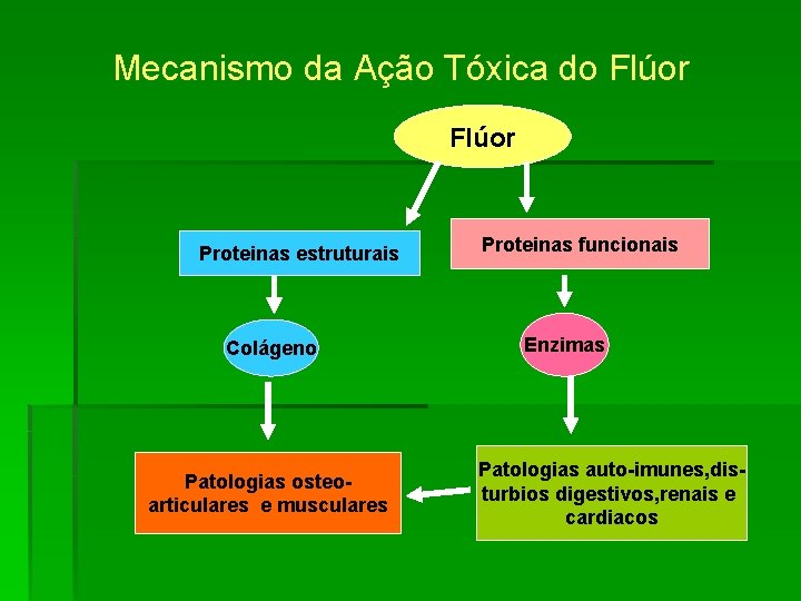 Mecanismo da Ação Tóxica do Flúor Proteinas estruturais Colágeno Patologias osteoarticulares e musculares Proteinas