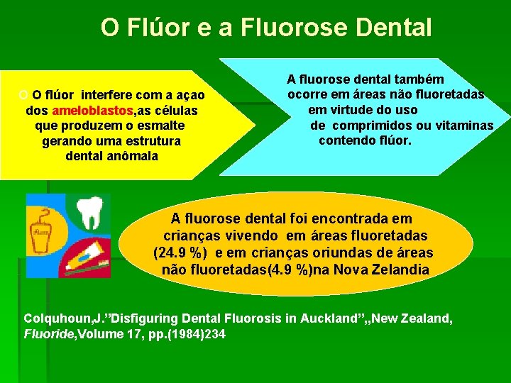 O Flúor e a Fluorose Dental O O flúor interfere com a açao dos
