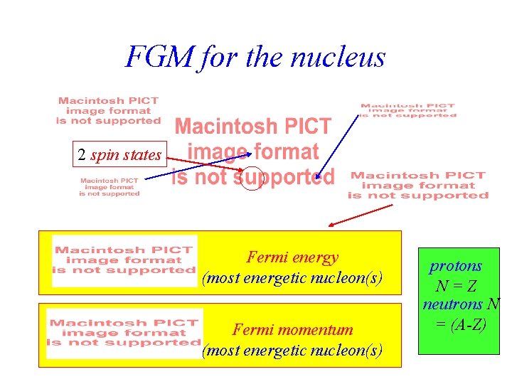 FGM for the nucleus 2 spin states Fermi energy (most energetic nucleon(s) Fermi momentum