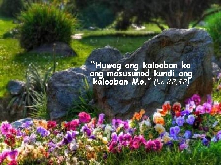 “Huwag ang kalooban ko ang masusunod kundi ang kalooban Mo. ” (Lc 22, 42)