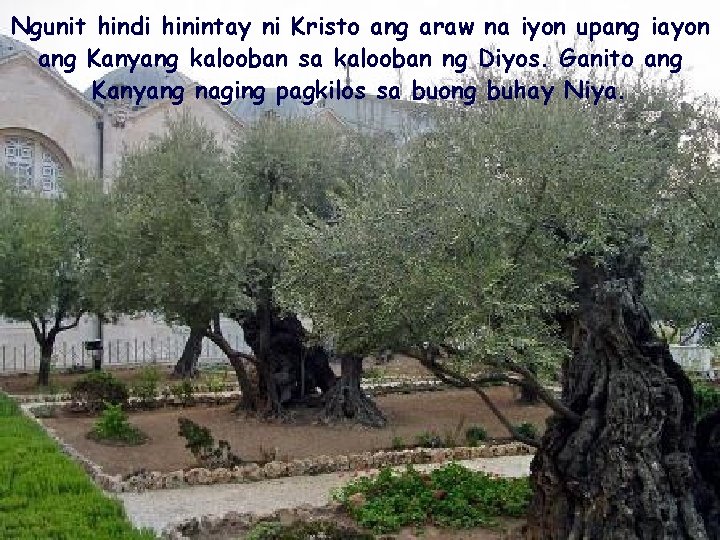 Ngunit hindi hinintay ni Kristo ang araw na iyon upang iayon ang Kanyang kalooban
