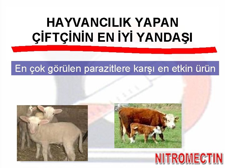 HAYVANCILIK YAPAN ÇİFTÇİNİN EN İYİ YANDAŞI En çok görülen parazitlere karşı en etkin ürün