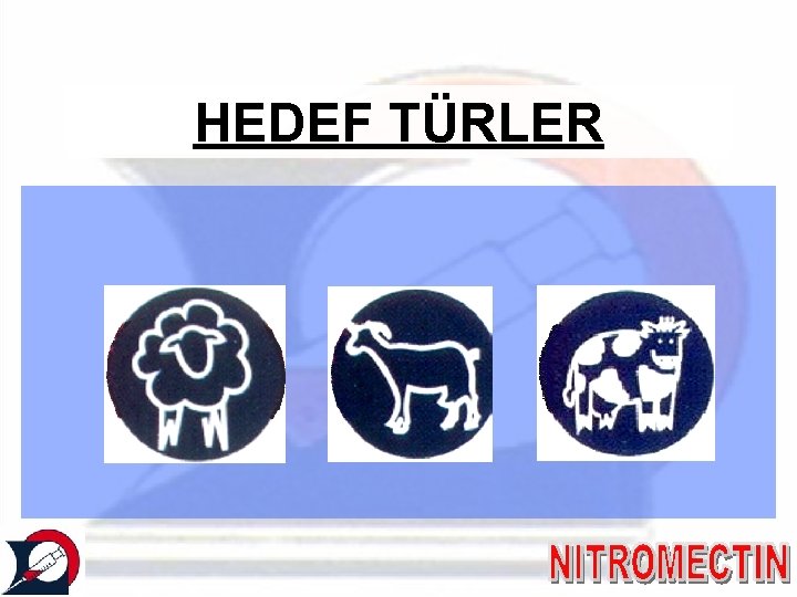 HEDEF TÜRLER 