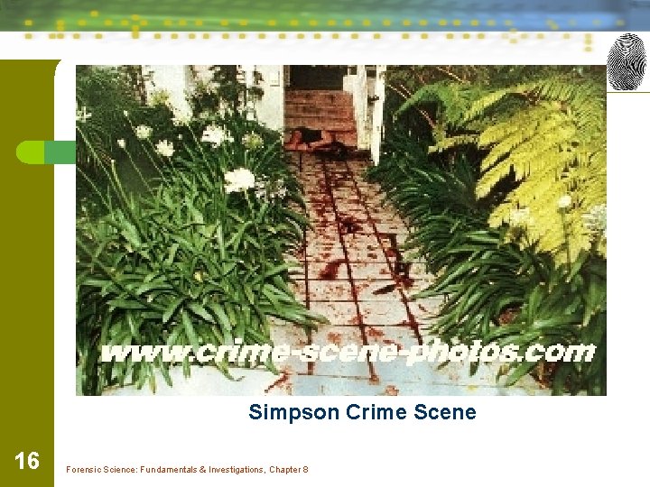 Simpson Crime Scene 16 Forensic Science: Fundamentals & Investigations, Chapter 8 