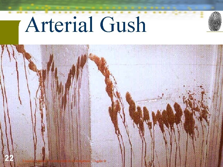 Arterial Gush 22 Forensic Science: Fundamentals & Investigations, Chapter 8 