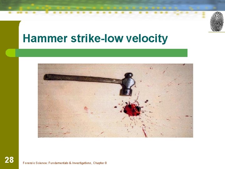 Hammer strike-low velocity 28 Forensic Science: Fundamentals & Investigations, Chapter 8 