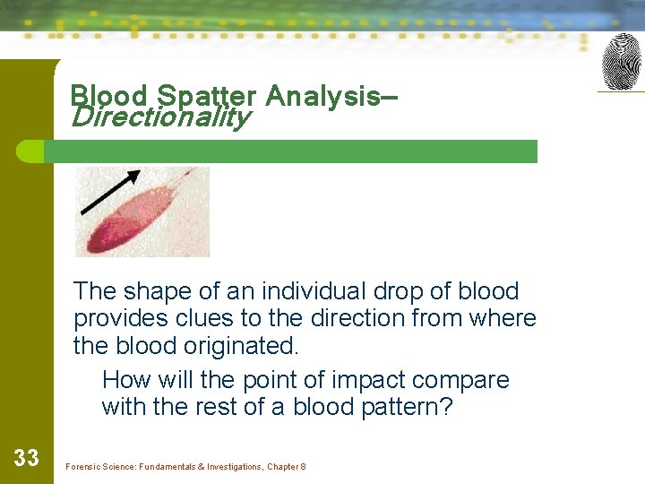 Blood Spatter Analysis— Directionality The shape of an individual drop of blood provides clues