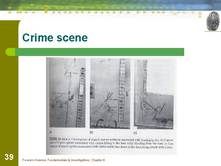 Crime scene 39 Forensic Science: Fundamentals & Investigations, Chapter 8 