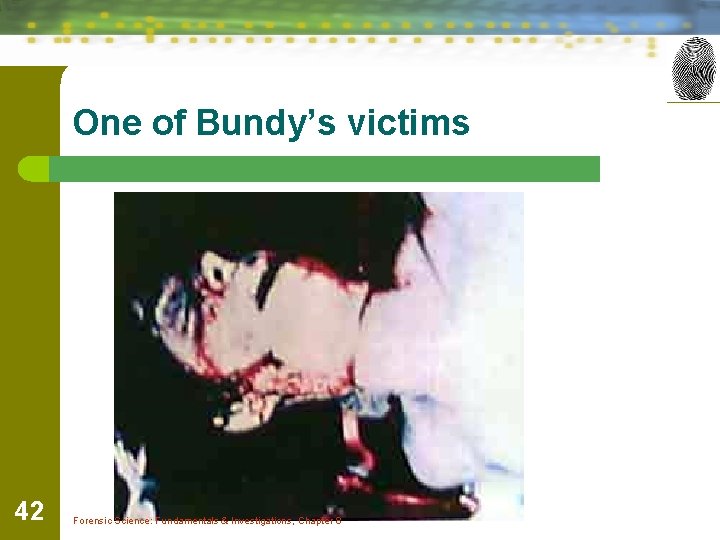 One of Bundy’s victims 42 Forensic Science: Fundamentals & Investigations, Chapter 8 