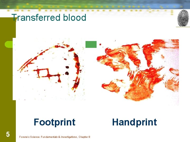 Transferred blood Footprint 5 Forensic Science: Fundamentals & Investigations, Chapter 8 Handprint 