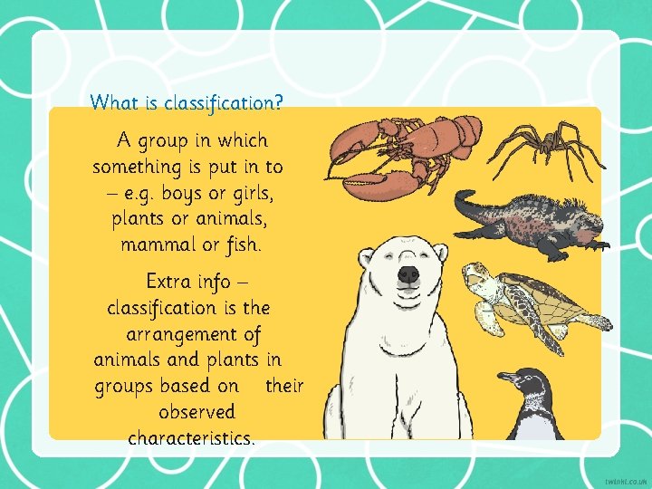 What is classification? A group in which something is put in to – e.