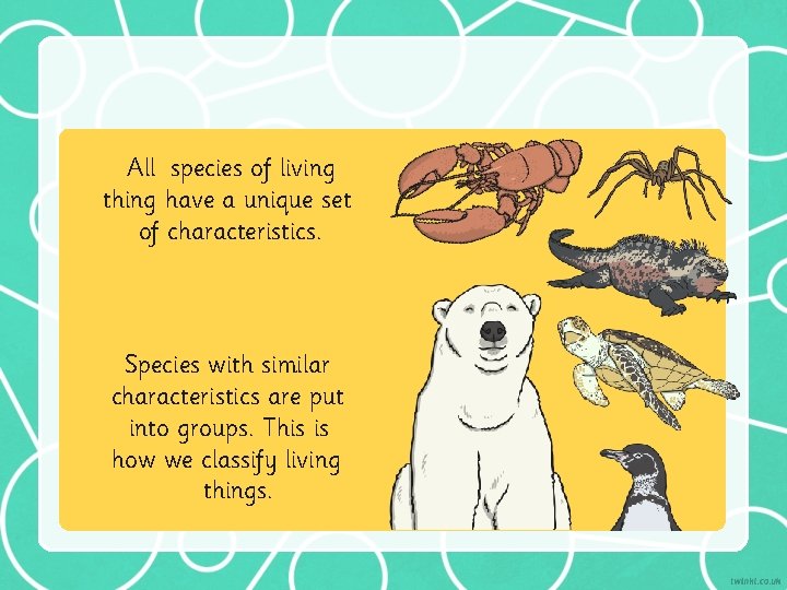 All species of living thing have a unique set of characteristics. Species with similar