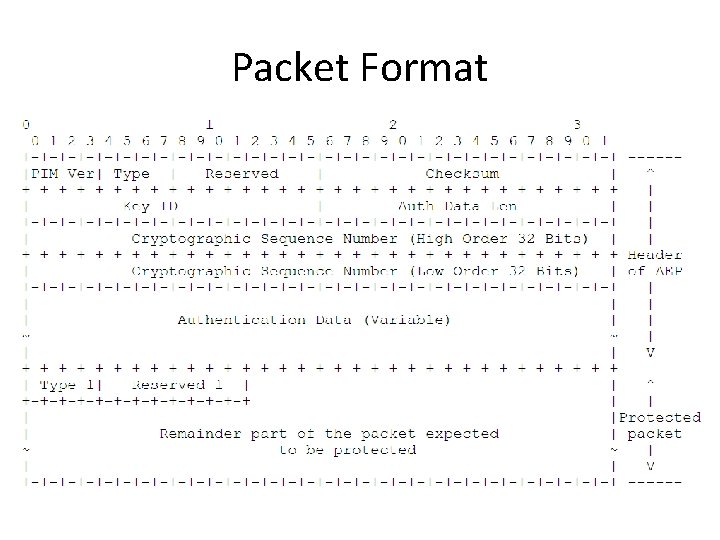 Packet Format 