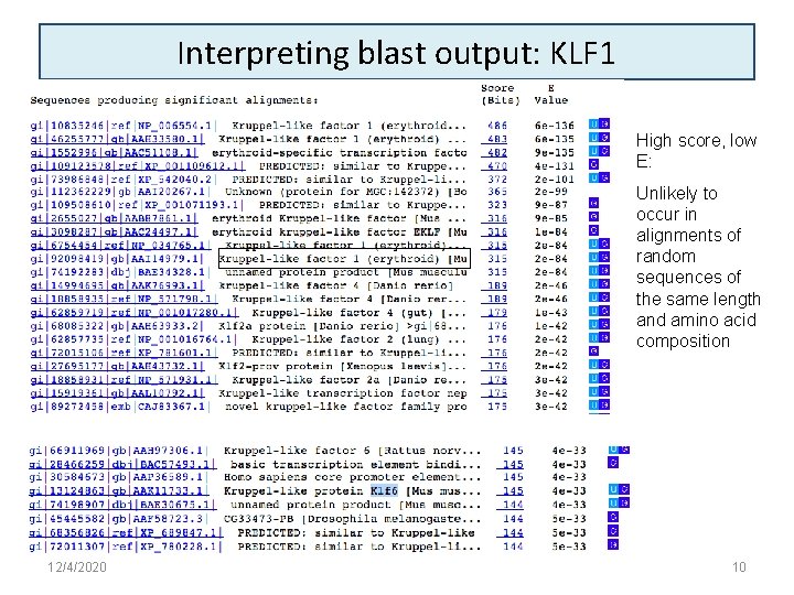 Interpreting blast output: KLF 1 High score, low E: Unlikely to occur in alignments