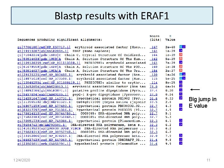 Blastp results with ERAF 1 Big jump in E value 12/4/2020 11 