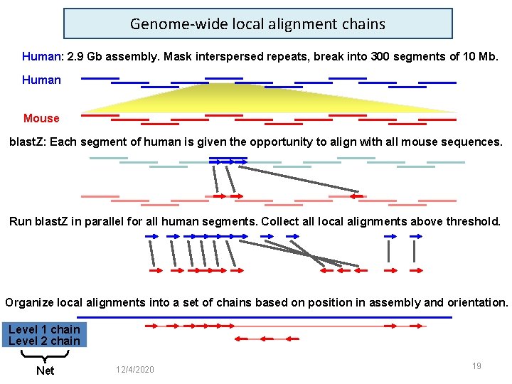 Genome-wide local alignment chains Human: 2. 9 Gb assembly. Mask interspersed repeats, break into