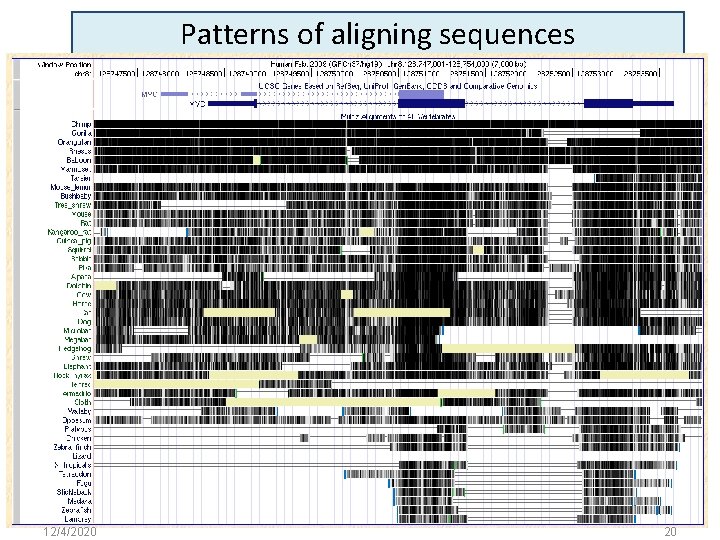 Patterns of aligning sequences 12/4/2020 20 