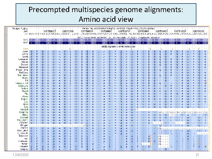 Precompted multispecies genome alignments: Amino acid view 12/4/2020 21 