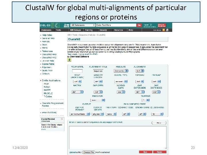 Clustal. W for global multi-alignments of particular regions or proteins 12/4/2020 23 