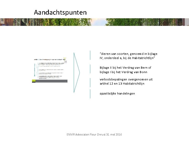 Aandachtspunten “dieren van soorten, genoemd in bijlage IV, onderdeel a, bij de Habitatrichtlijn” Bijlage