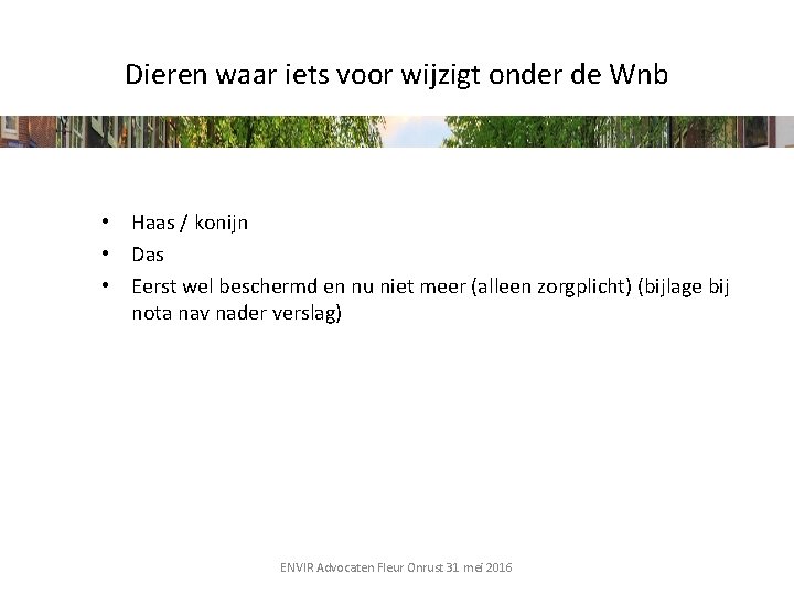 Dieren waar iets voor wijzigt onder de Wnb • Haas / konijn • Das