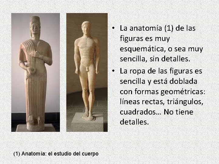  • La anatomía (1) de las figuras es muy esquemática, o sea muy