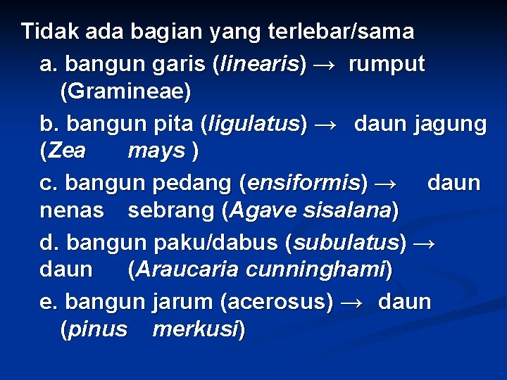 Tidak ada bagian yang terlebar/sama a. bangun garis (linearis) → rumput (Gramineae) b. bangun