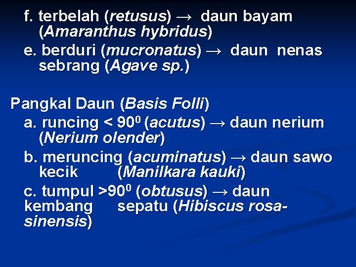 f. terbelah (retusus) → daun bayam (Amaranthus hybridus) e. berduri (mucronatus) → daun nenas