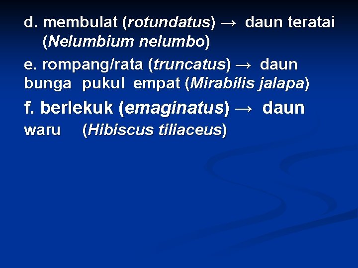 d. membulat (rotundatus) → daun teratai (Nelumbium nelumbo) e. rompang/rata (truncatus) → daun bunga