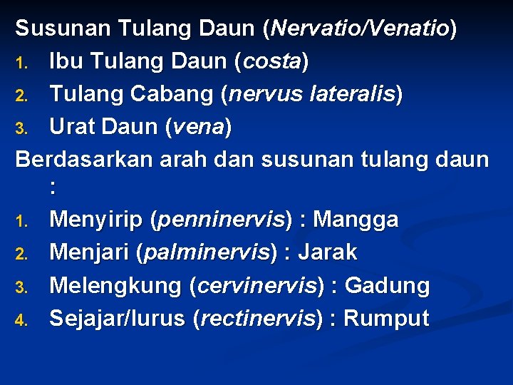Susunan Tulang Daun (Nervatio/Venatio) 1. Ibu Tulang Daun (costa) 2. Tulang Cabang (nervus lateralis)