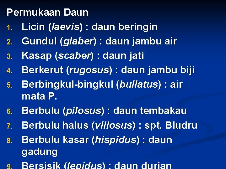 Permukaan Daun 1. Licin (laevis) : daun beringin 2. Gundul (glaber) : daun jambu