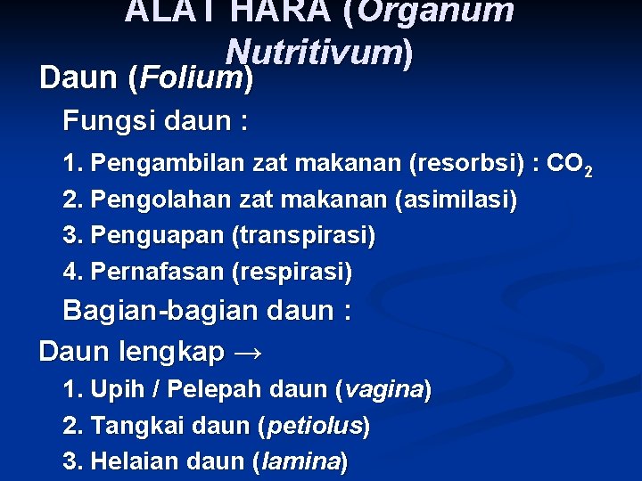ALAT HARA (Organum Nutritivum) Daun (Folium) Fungsi daun : 1. Pengambilan zat makanan (resorbsi)