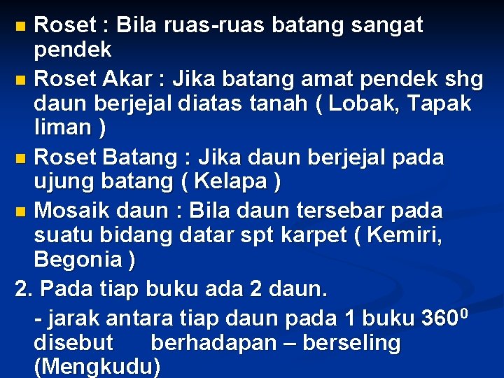 Roset : Bila ruas-ruas batang sangat pendek n Roset Akar : Jika batang amat
