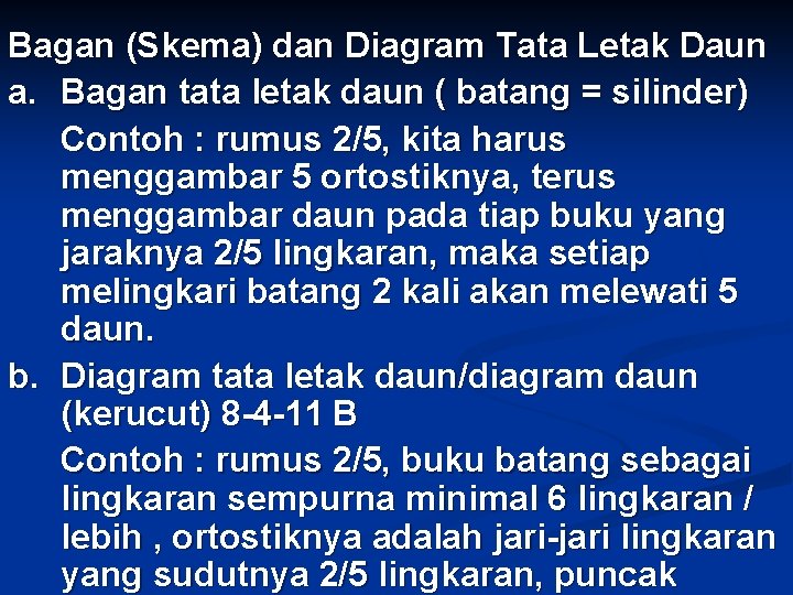 Bagan (Skema) dan Diagram Tata Letak Daun a. Bagan tata letak daun ( batang