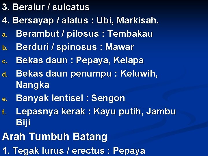 3. Beralur / sulcatus 4. Bersayap / alatus : Ubi, Markisah. a. Berambut /