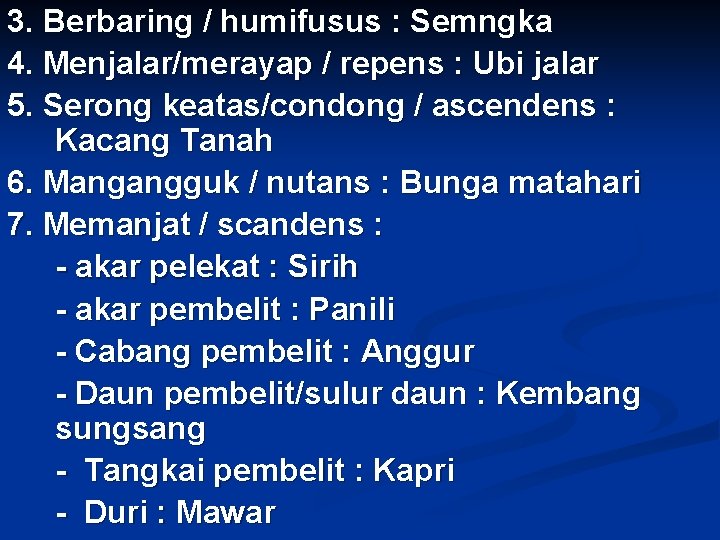 3. Berbaring / humifusus : Semngka 4. Menjalar/merayap / repens : Ubi jalar 5.