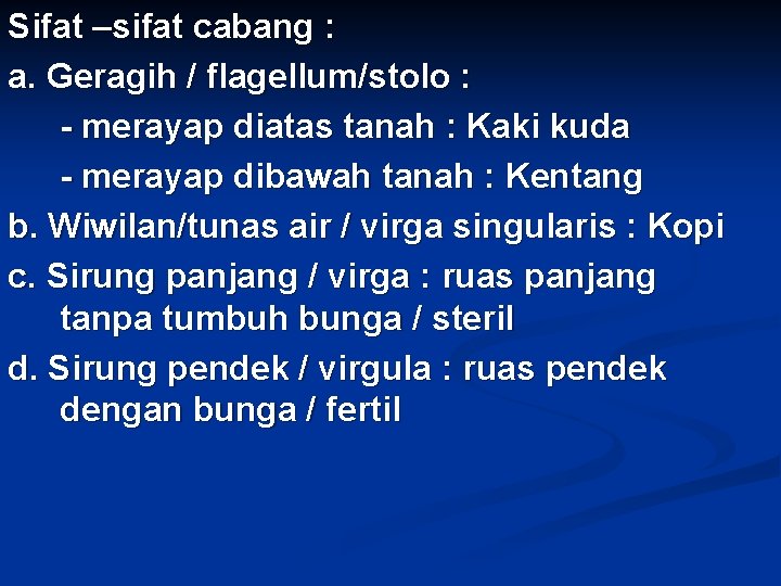 Sifat –sifat cabang : a. Geragih / flagellum/stolo : - merayap diatas tanah :