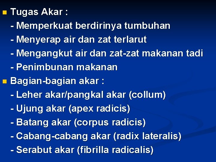 Tugas Akar : - Memperkuat berdirinya tumbuhan - Menyerap air dan zat terlarut -