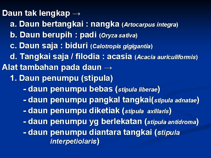 Daun tak lengkap → a. Daun bertangkai : nangka (Artocarpus integra) b. Daun berupih