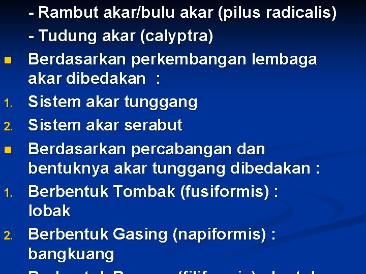 n 1. 2. n 1. 2. - Rambut akar/bulu akar (pilus radicalis) - Tudung