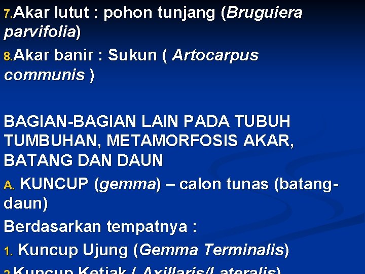 7. Akar lutut : pohon tunjang (Bruguiera parvifolia) 8. Akar banir : Sukun (