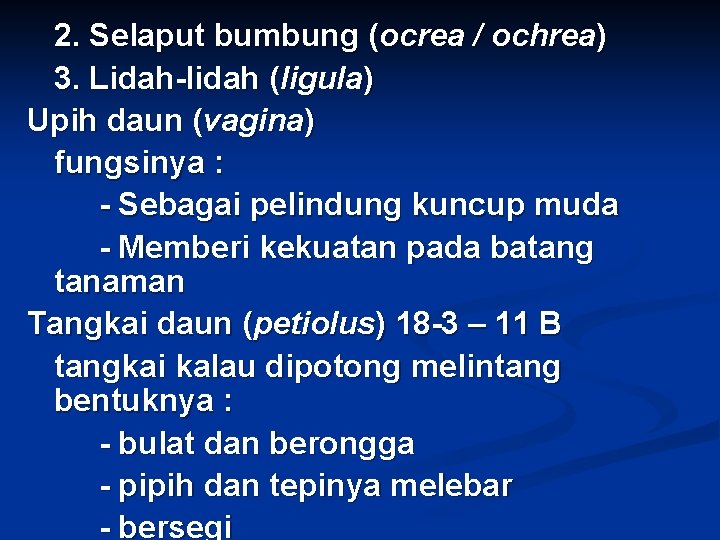 2. Selaput bumbung (ocrea / ochrea) 3. Lidah-lidah (ligula) Upih daun (vagina) fungsinya :