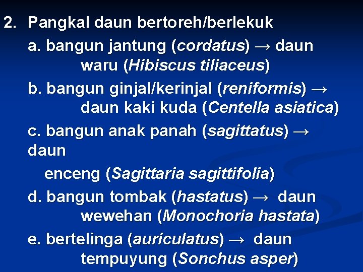 2. Pangkal daun bertoreh/berlekuk a. bangun jantung (cordatus) → daun waru (Hibiscus tiliaceus) b.