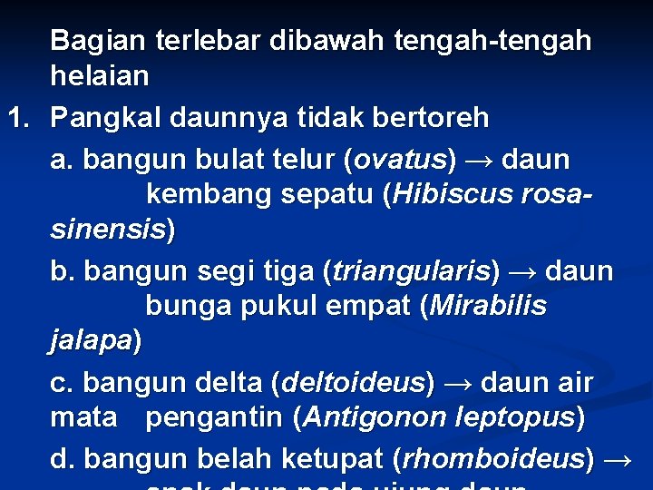 Bagian terlebar dibawah tengah-tengah helaian 1. Pangkal daunnya tidak bertoreh a. bangun bulat telur