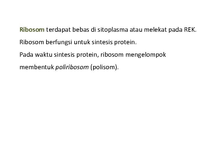 Ribosom terdapat bebas di sitoplasma atau melekat pada REK. Ribosom berfungsi untuk sintesis protein.