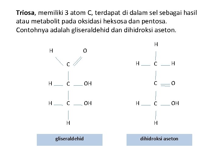 Triosa, memiliki 3 atom C, terdapat di dalam sel sebagai hasil atau metabolit pada