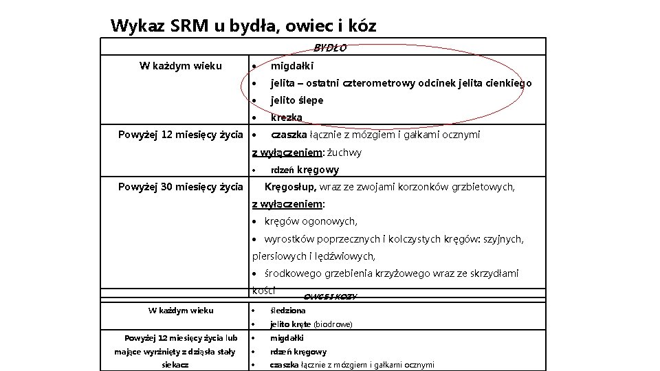 Wykaz SRM u bydła, owiec i kóz BYDŁO W każdym wieku migdałki jelita –